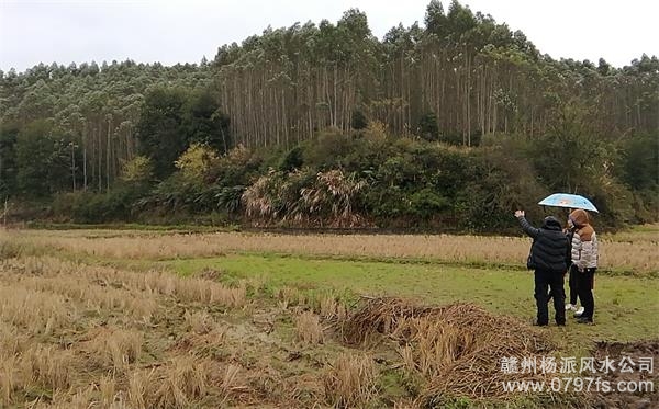 奉贤区陈老师带着爱徒寻龙点穴